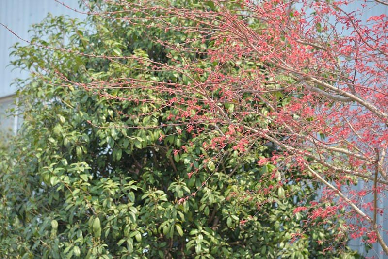 1491488053690606.jpg 微信图片_20170406220450_副本.jpg