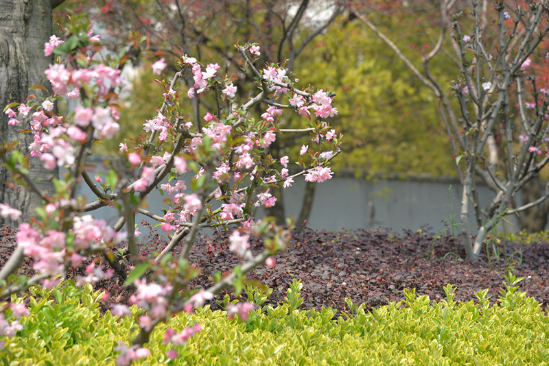 1491488093211396.jpg 微信图片_20170406220457_副本.jpg