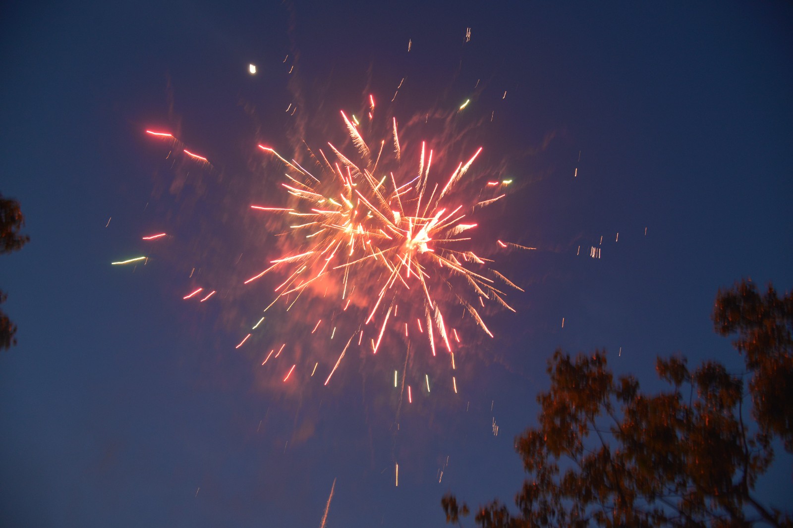 1494288993738224.jpg 53.JPG